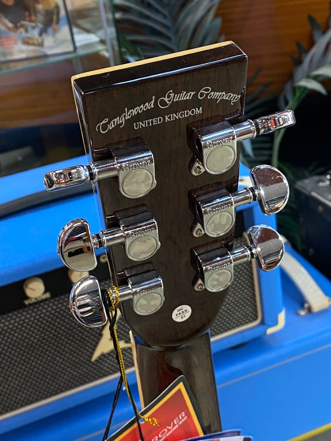 Tanglewood TW4AVB Winterleaf Super Folk C/E | Antique Vintage Burst