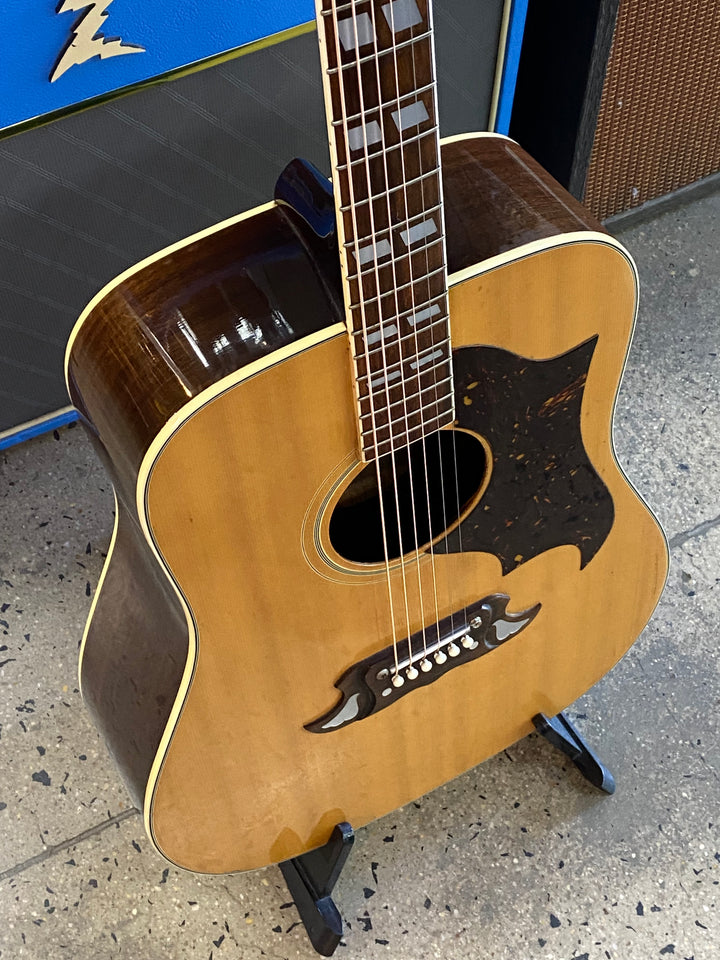 Ibanez 1975 Concord 693 ***pre loved***