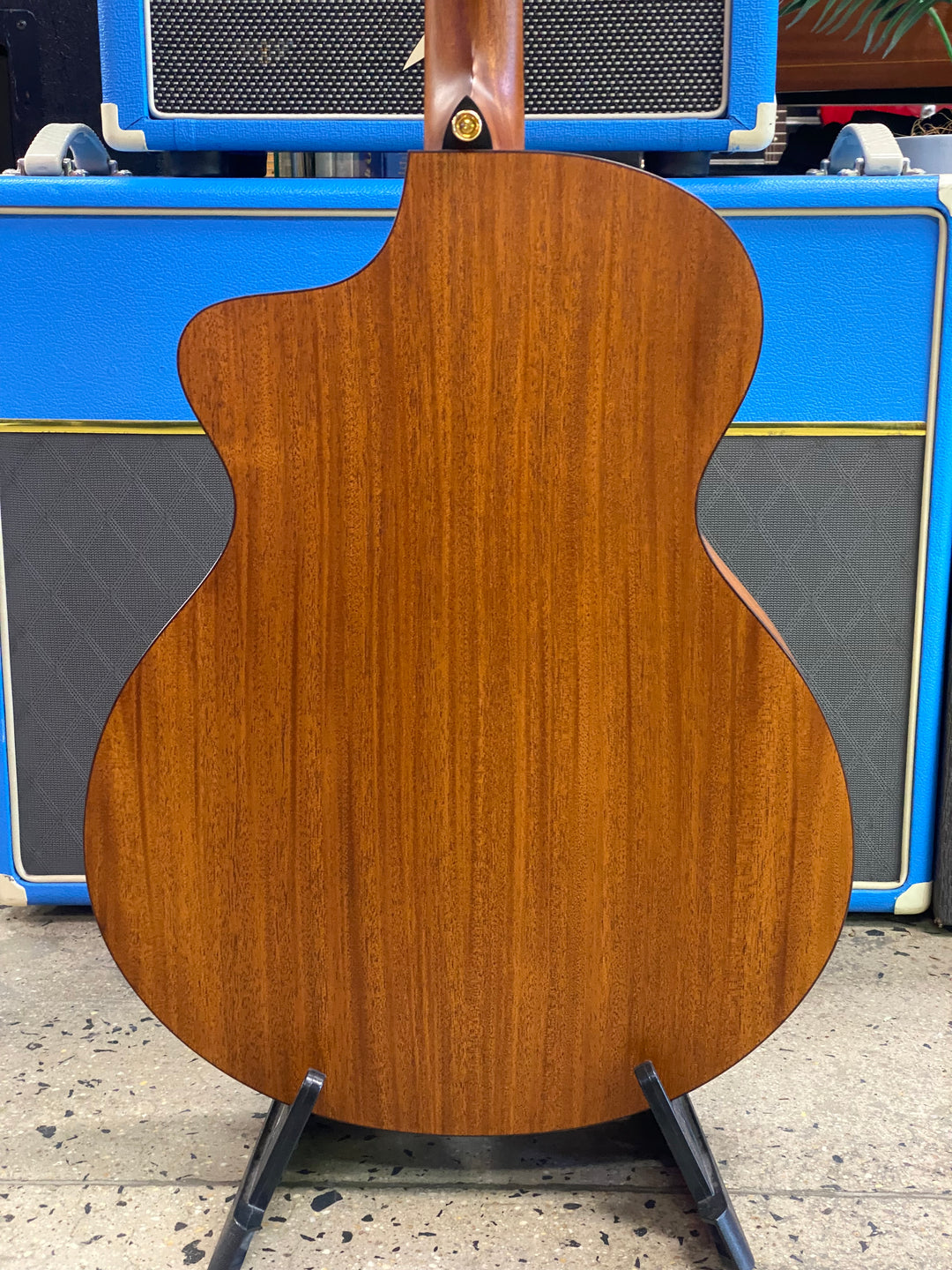 Fenech True Tone Grand Auditorium TTGAC - Mahogany b/s spruce top | gold hardware