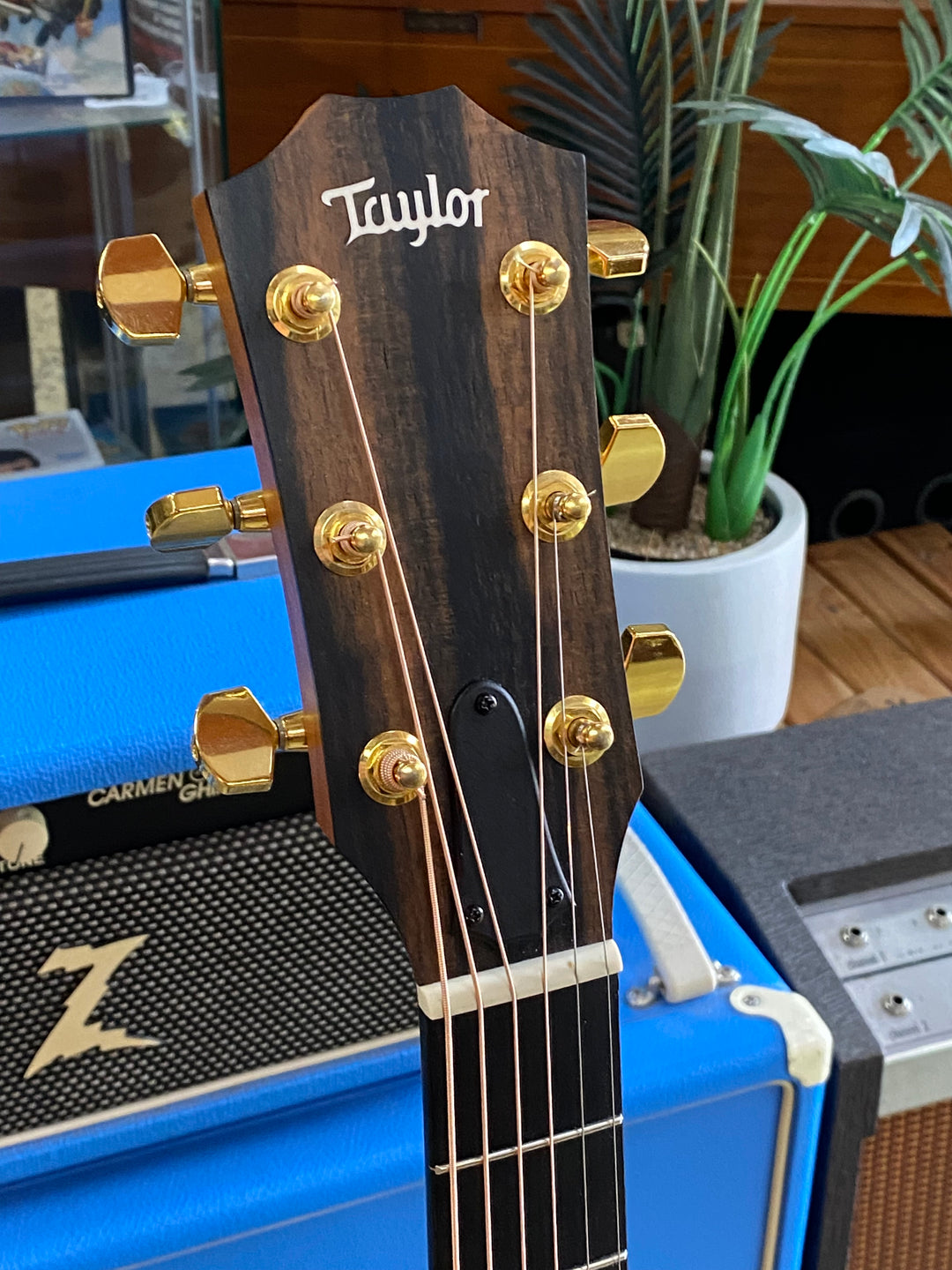 Taylor 224CE-K-DLX Acoustic Guitar w/case ***pre loved***