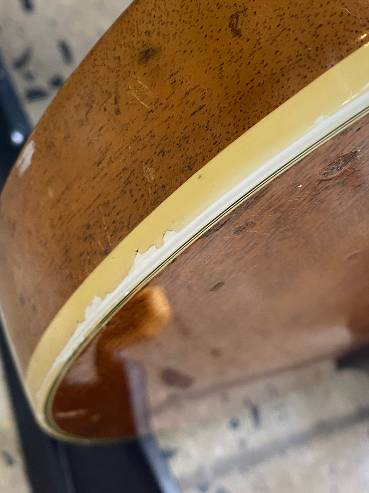 Guild USA 1974 M-75 Bluesbird Electric W/Bigsby W/case ***Pre Loved***