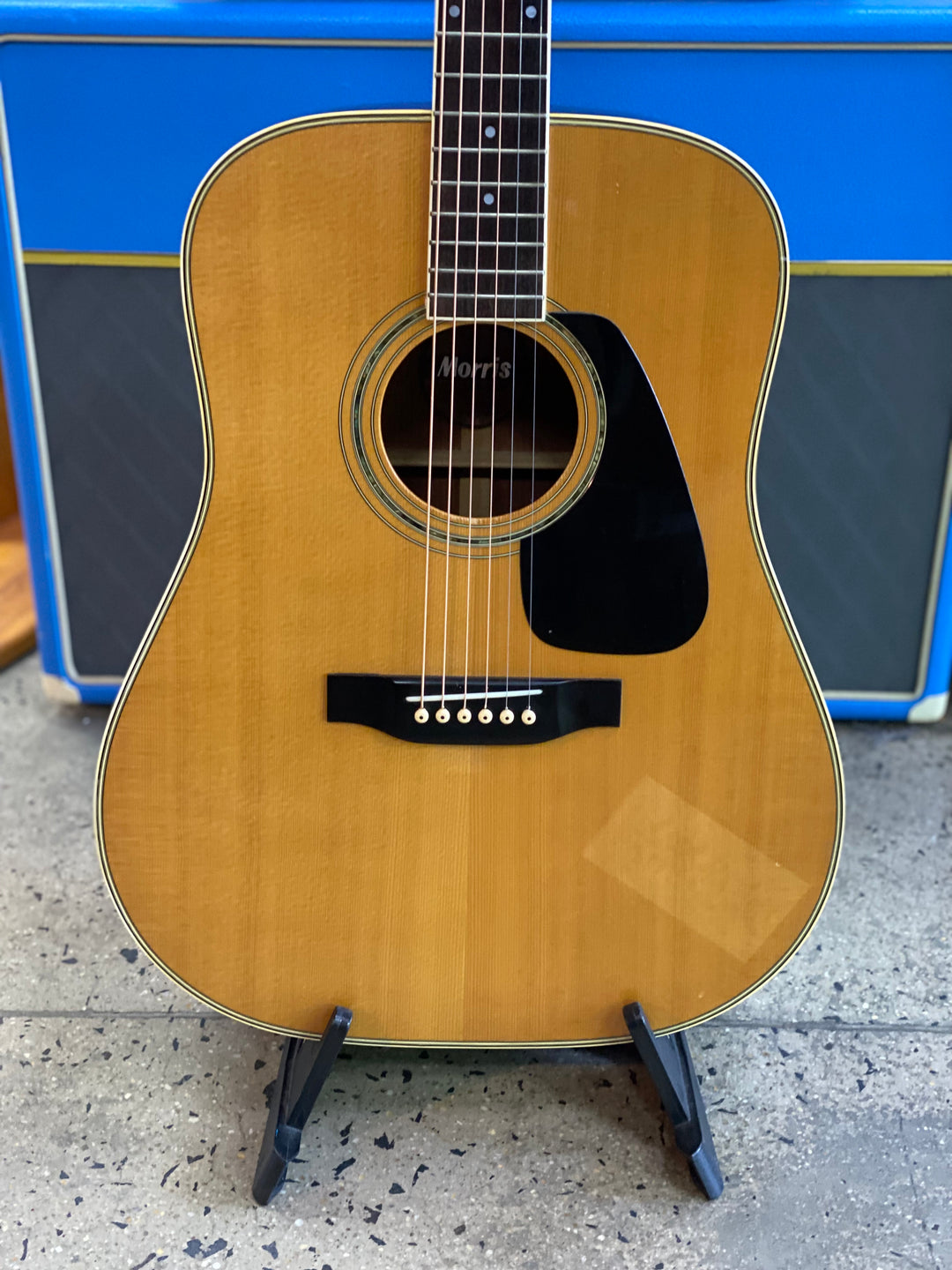 Morris MD-510 Dreadnought ***pre loved***