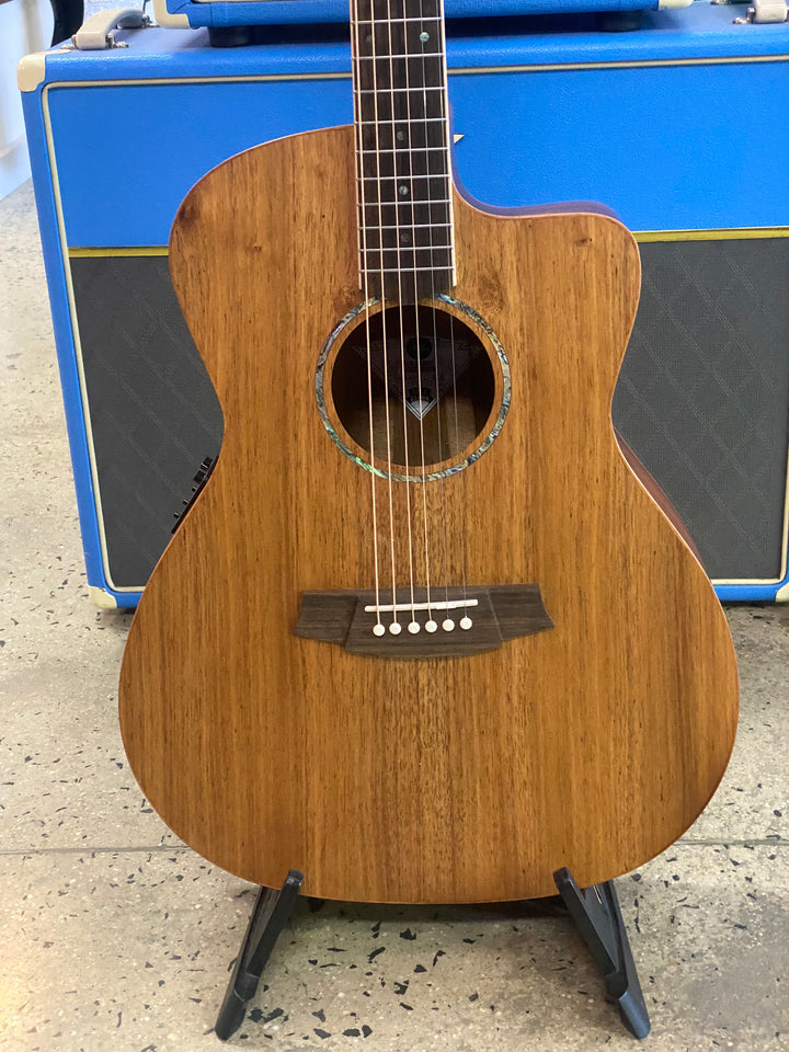 Cole Clark Studio SAN1EC Grand Auditorium Blackwood top back & sides