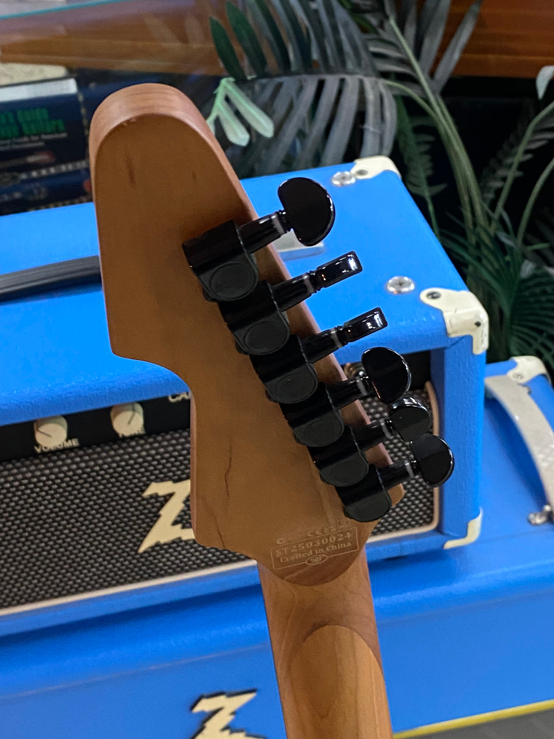 Schecter Avenger Standard | Blood Burst