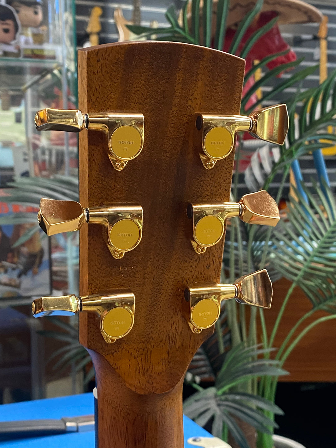 Fenech True Tone Grand Auditorium TTGAC - Mahogany b/s spruce top | gold hardware