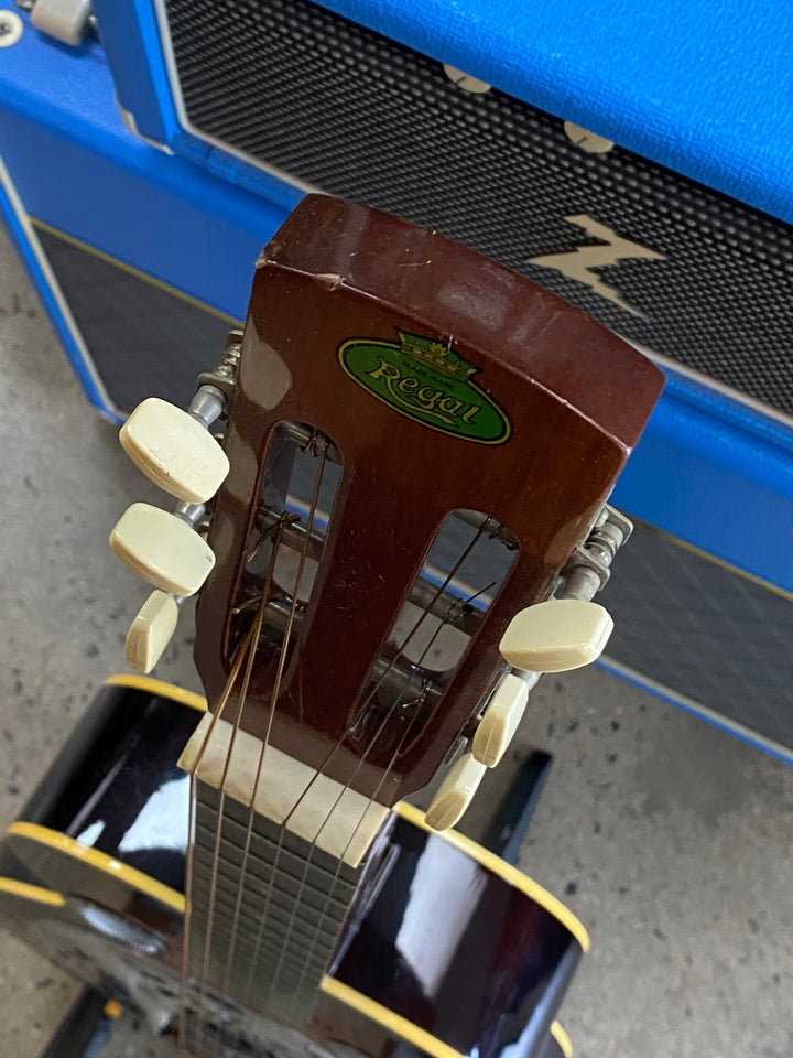 Regal Square Neck Resonator 1990s MIK wcase ***pre loved***