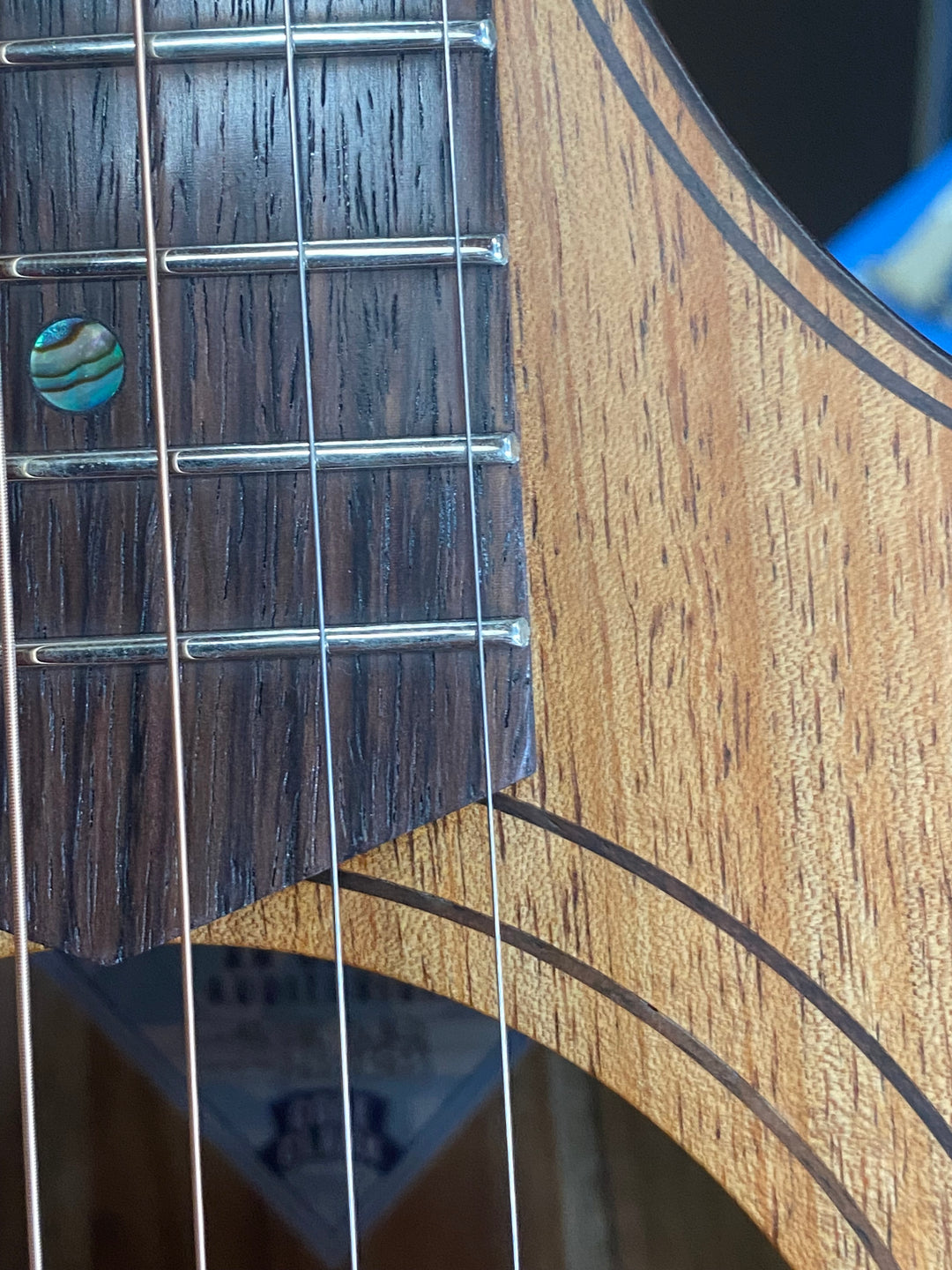 COLE CLARK AN2EC-BLBLR Blackwood B/S Rosewood Fretboard Acoustic Electric