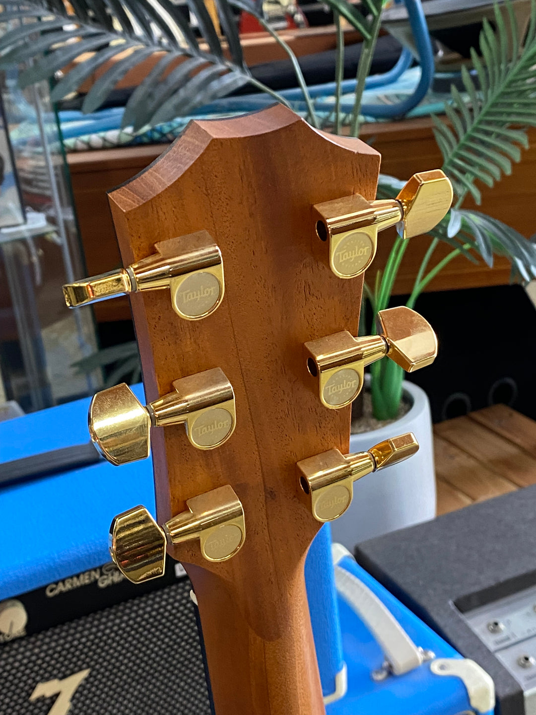 Taylor 224CE-K-DLX Acoustic Guitar w/case ***pre loved***