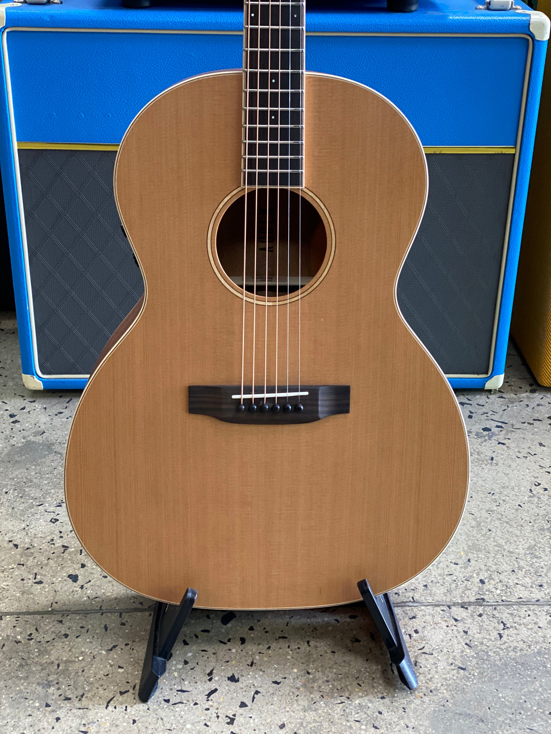 Auden Guitars Neo Series w/bag – Chester Full Body