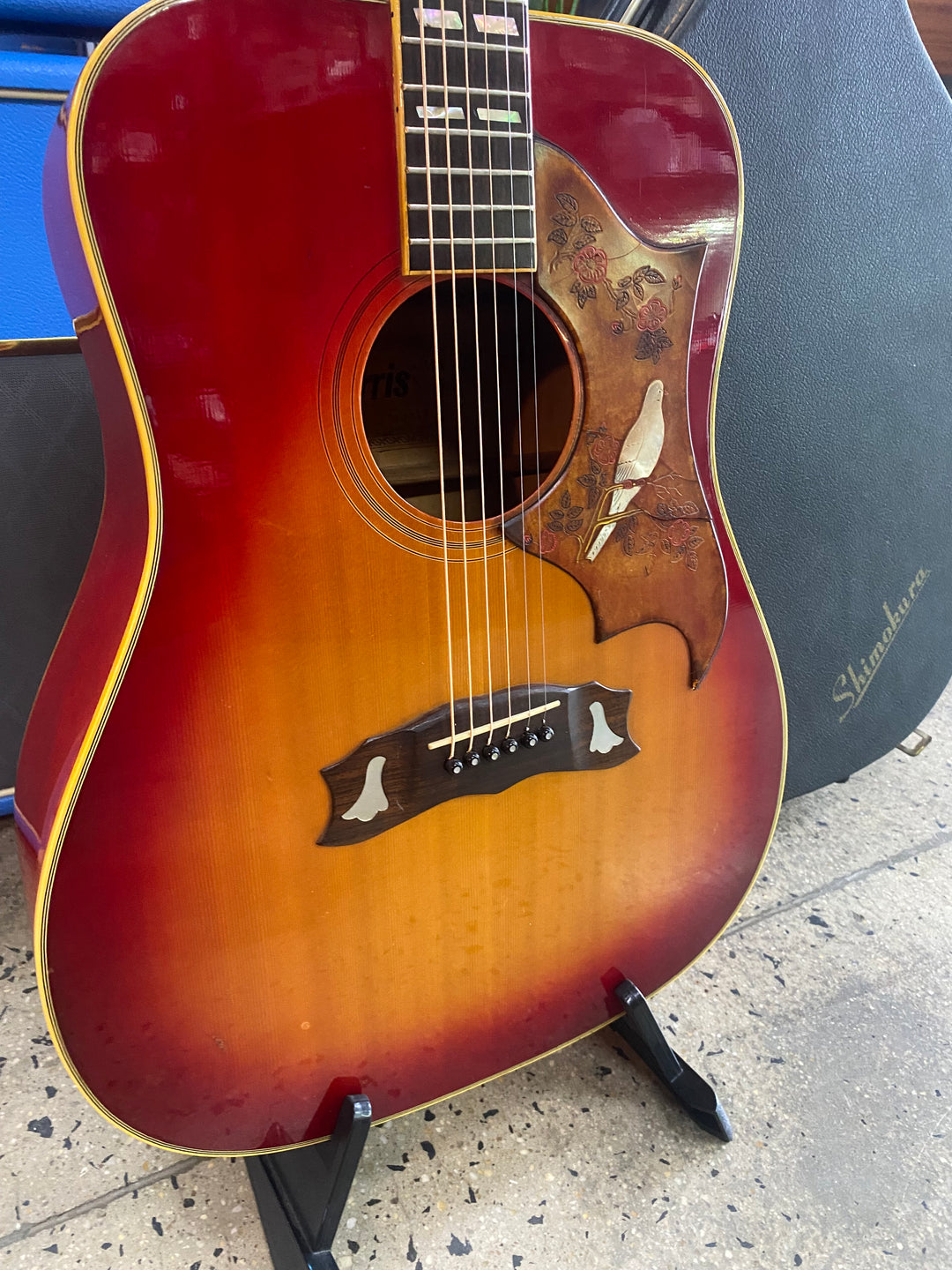 1975 Morris WD-35 Dove Style Dreadnought Acoustic Guitar **Pre Loved**