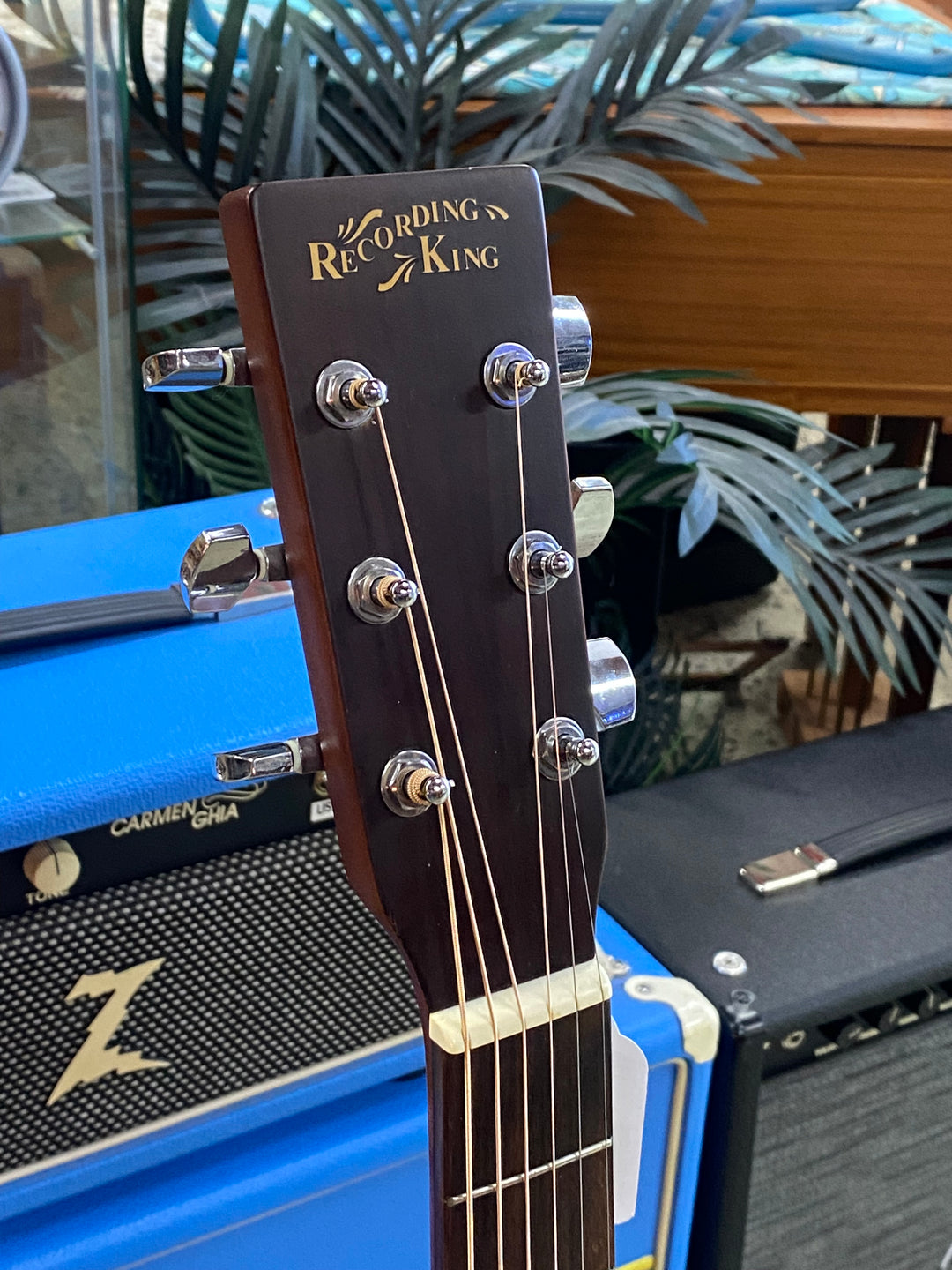 Recording King RD-04 Acoustic ***Pre Loved***