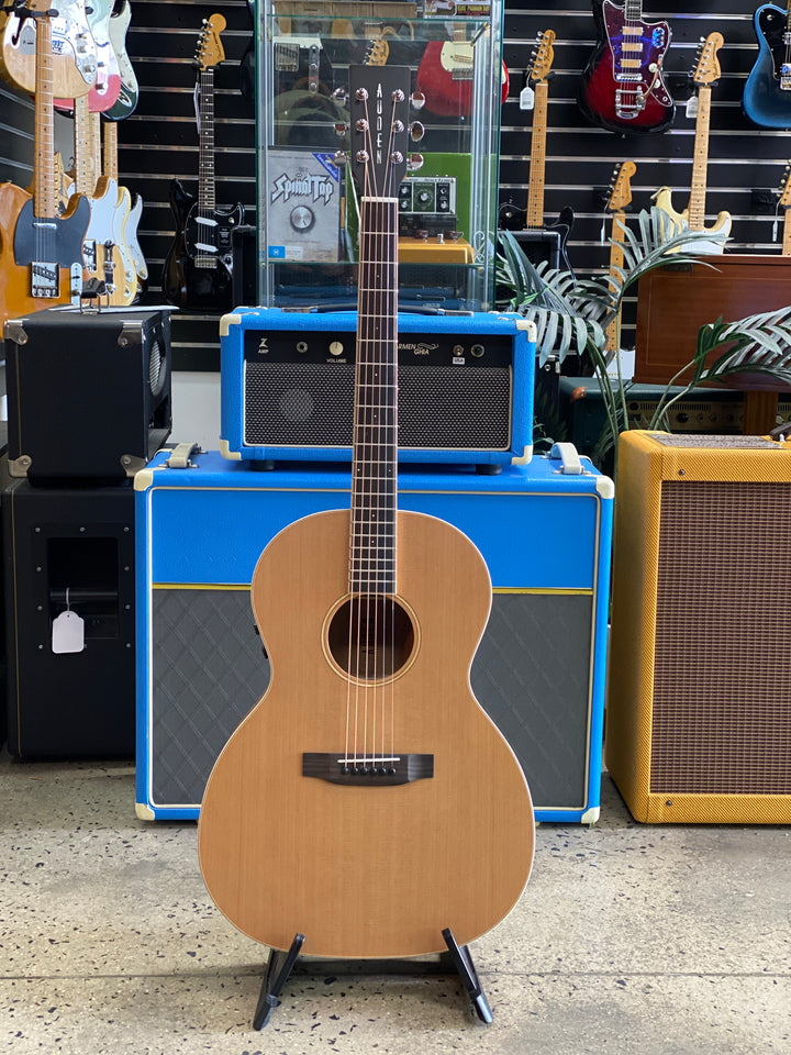 Auden Guitars Neo Series w/bag – Chester Full Body