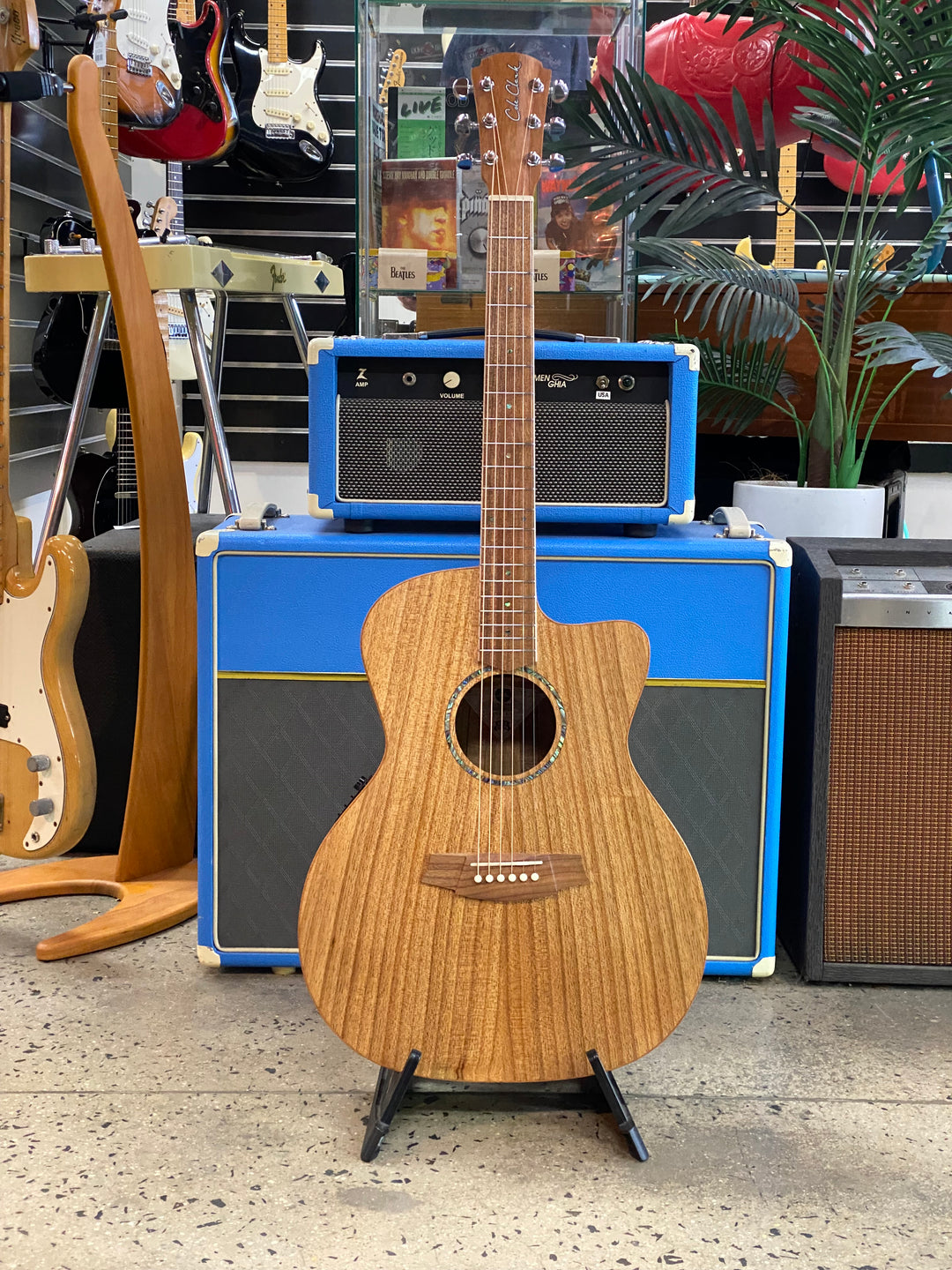 Cole Clark Studio SAN1EC Grand Auditorium Blackwood top back & sides