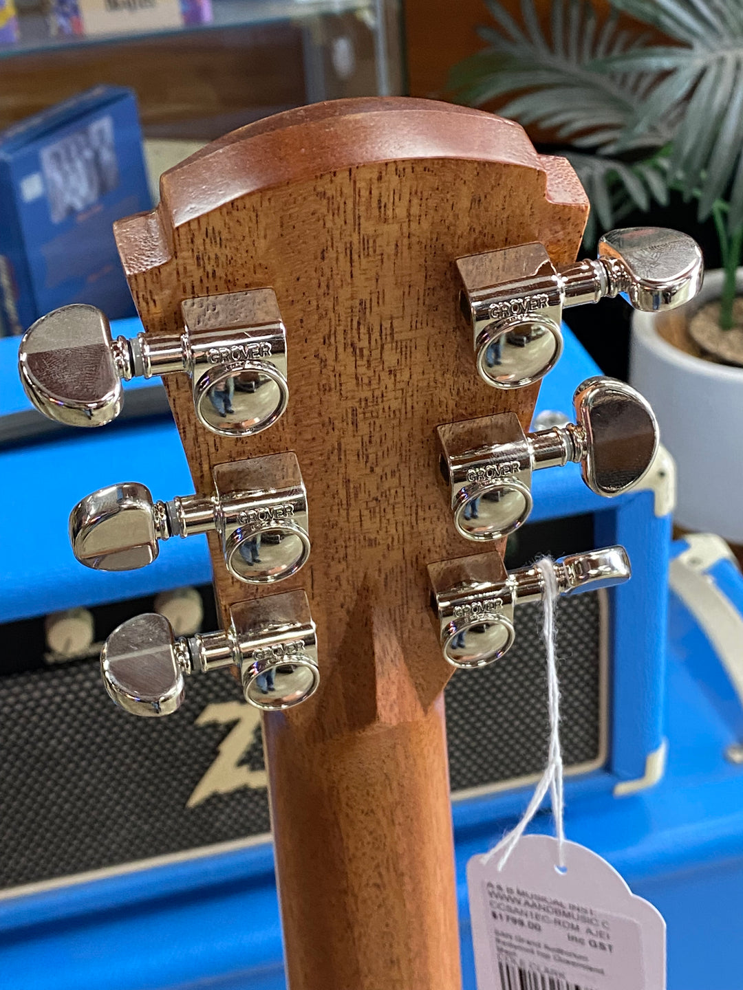 Cole Clark Studio SAN1EC Grand Auditorium Redwood Top Queensland Maple Back and Sides