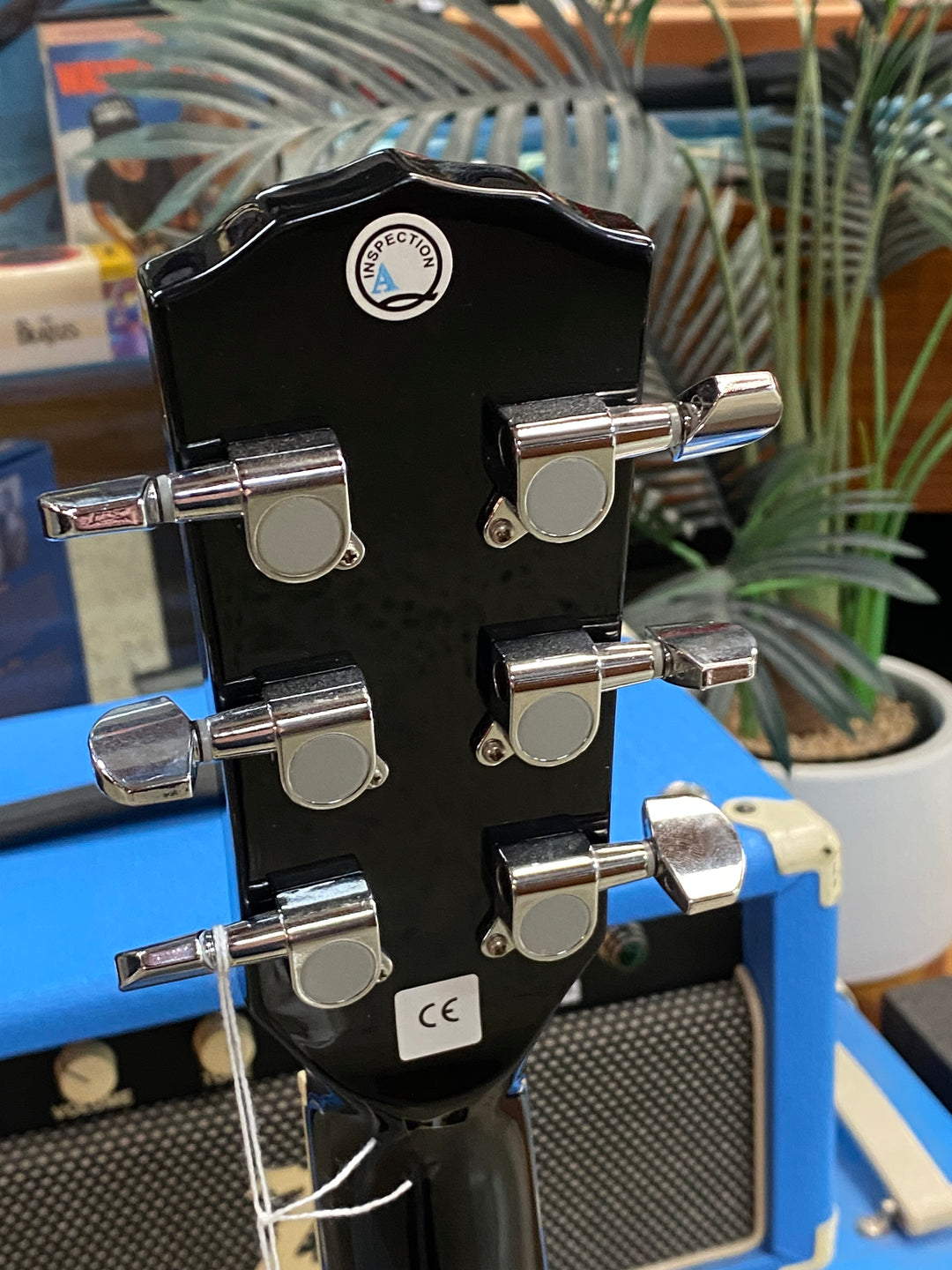 Fender Vince Ray - Voodoo & Spookshow Acoustics ***pre loved***