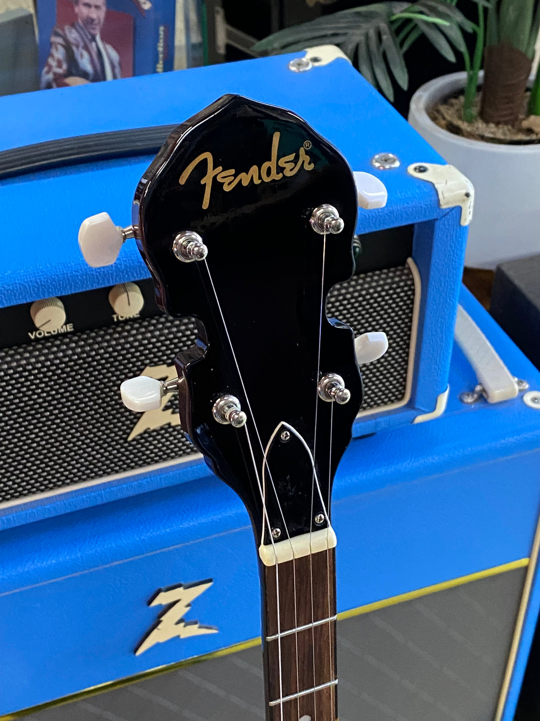 Fender 5 String Banjo Closed Back with bag ***Pre Loved***