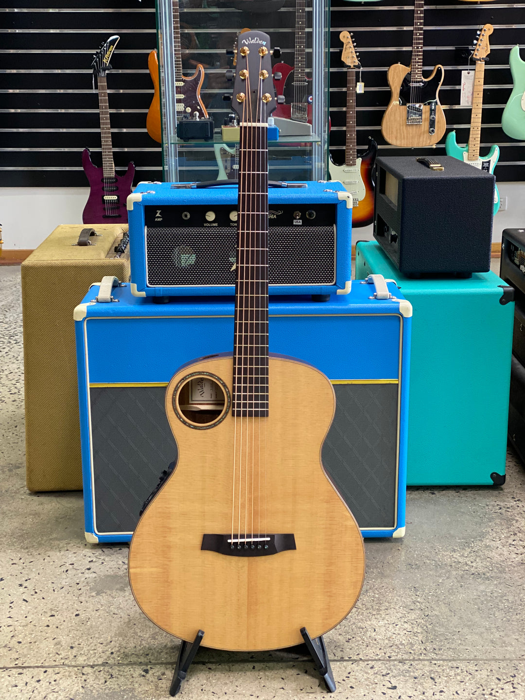 Walden Grand Auditorium Body Baritone Acoustic Solid Spruce Top