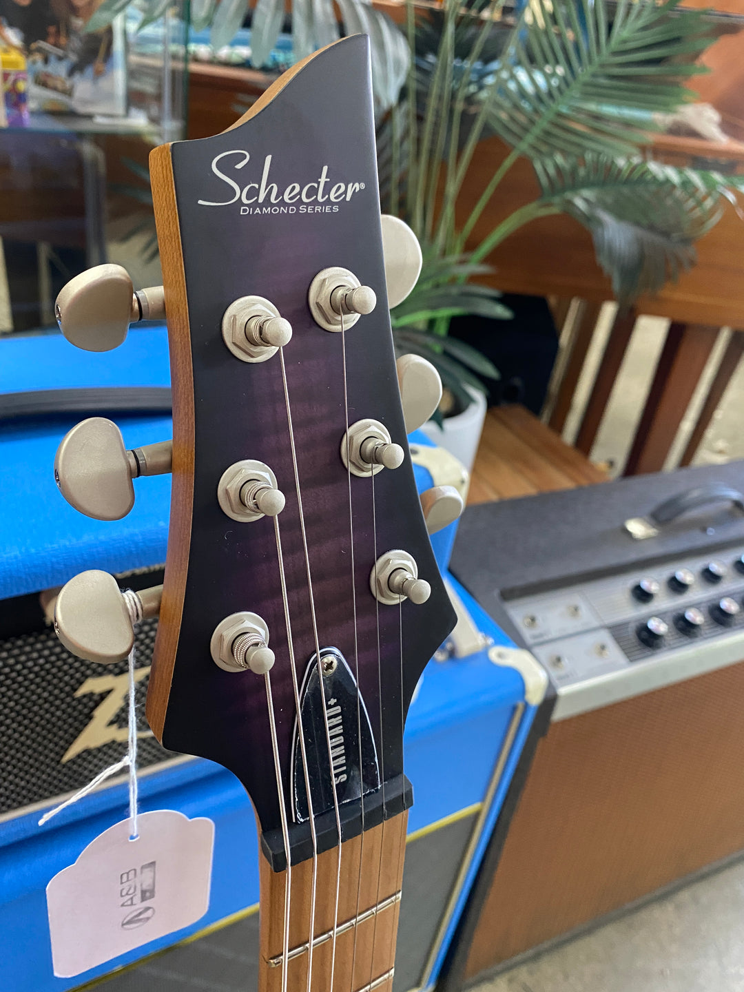 Schecter C-1 Standard Plus Electric Guitar | Purple Burst (TPB)