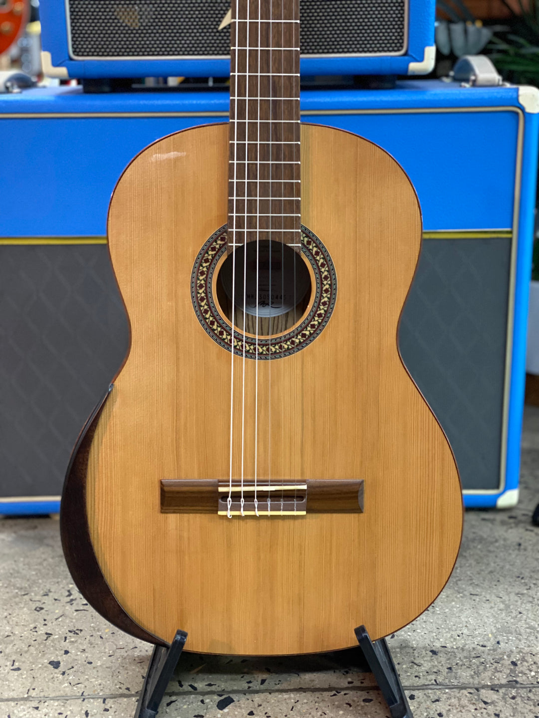 Manuel Rodriguez Concert 4/4 Gloss Academia 40-C Cedar / Zebrano
