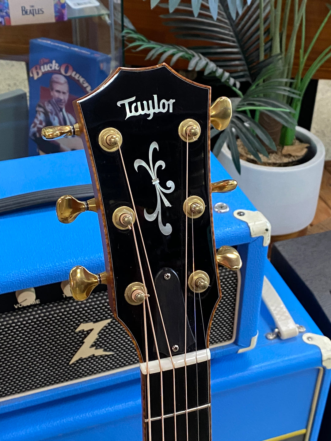 Taylor 2008 Cocobolo GA Limited Edition wcase ***pre loved***