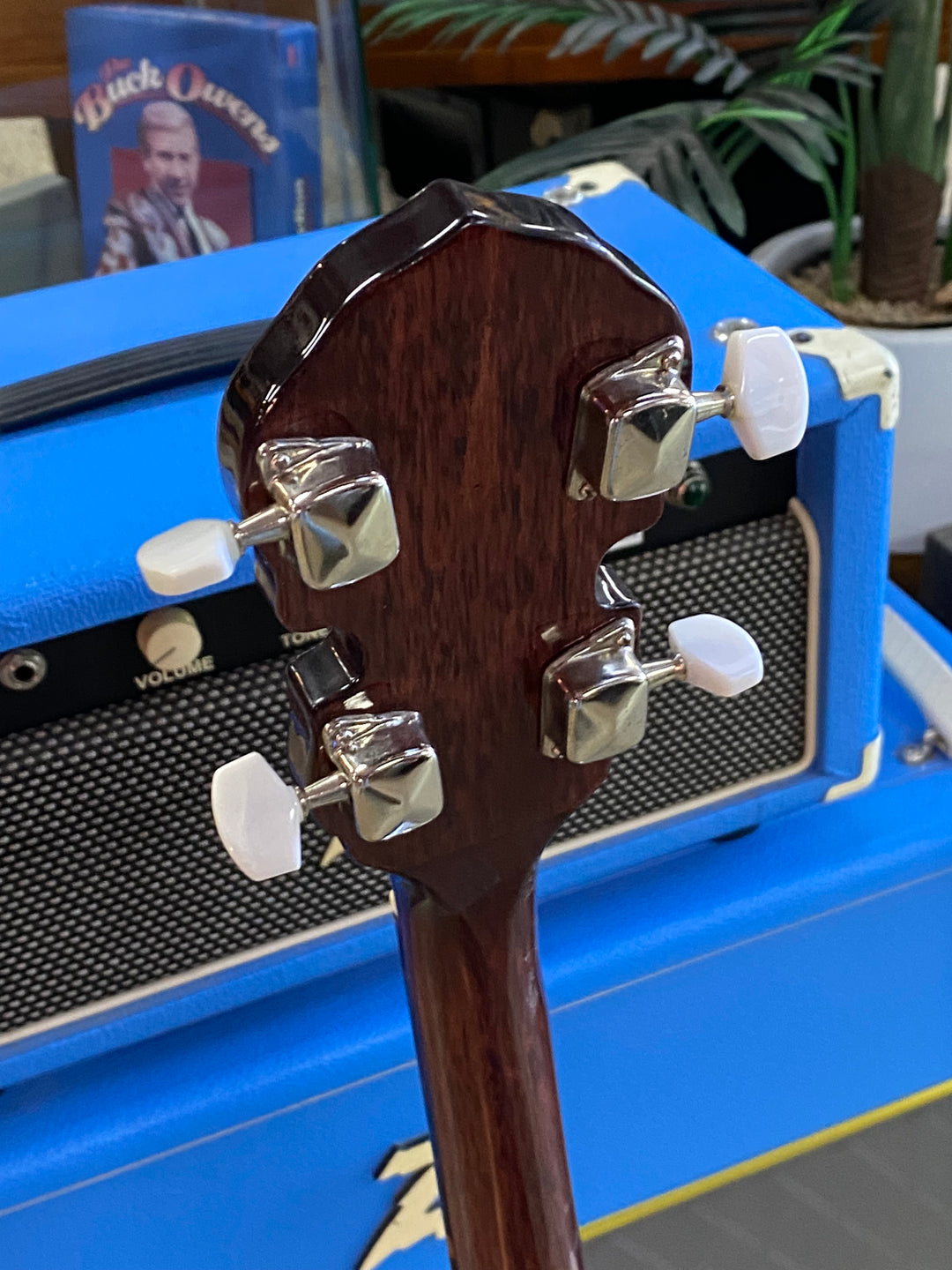 Fender 5 String Banjo Closed Back with bag ***Pre Loved***
