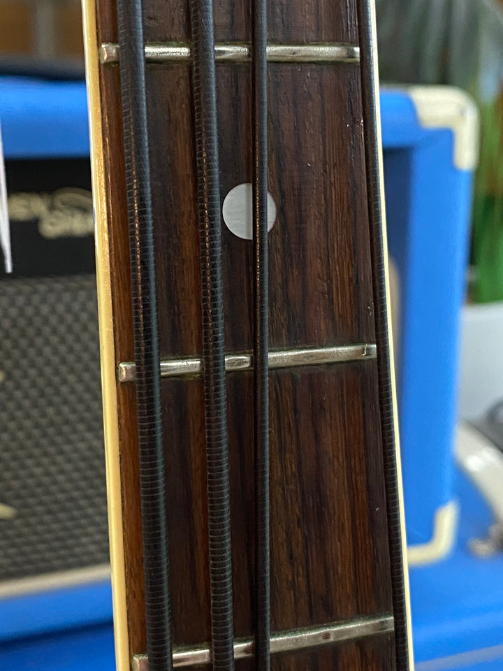 Vox 1966 Panther Bass w/case ***Pre loved***