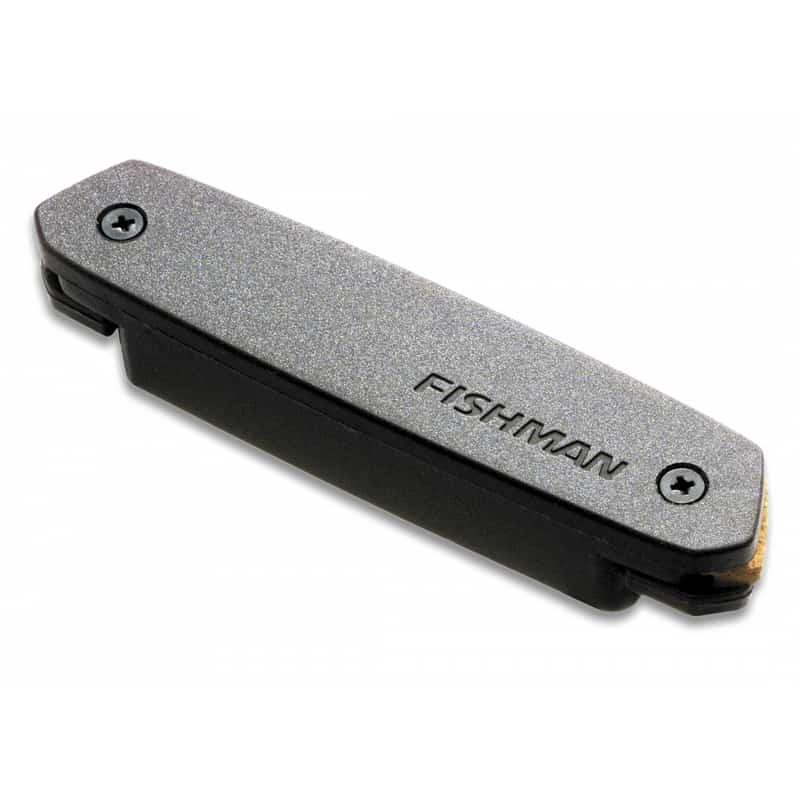 NEO-D HUMBUCKING MAGNETIC SOUNDHOLE PICKUP